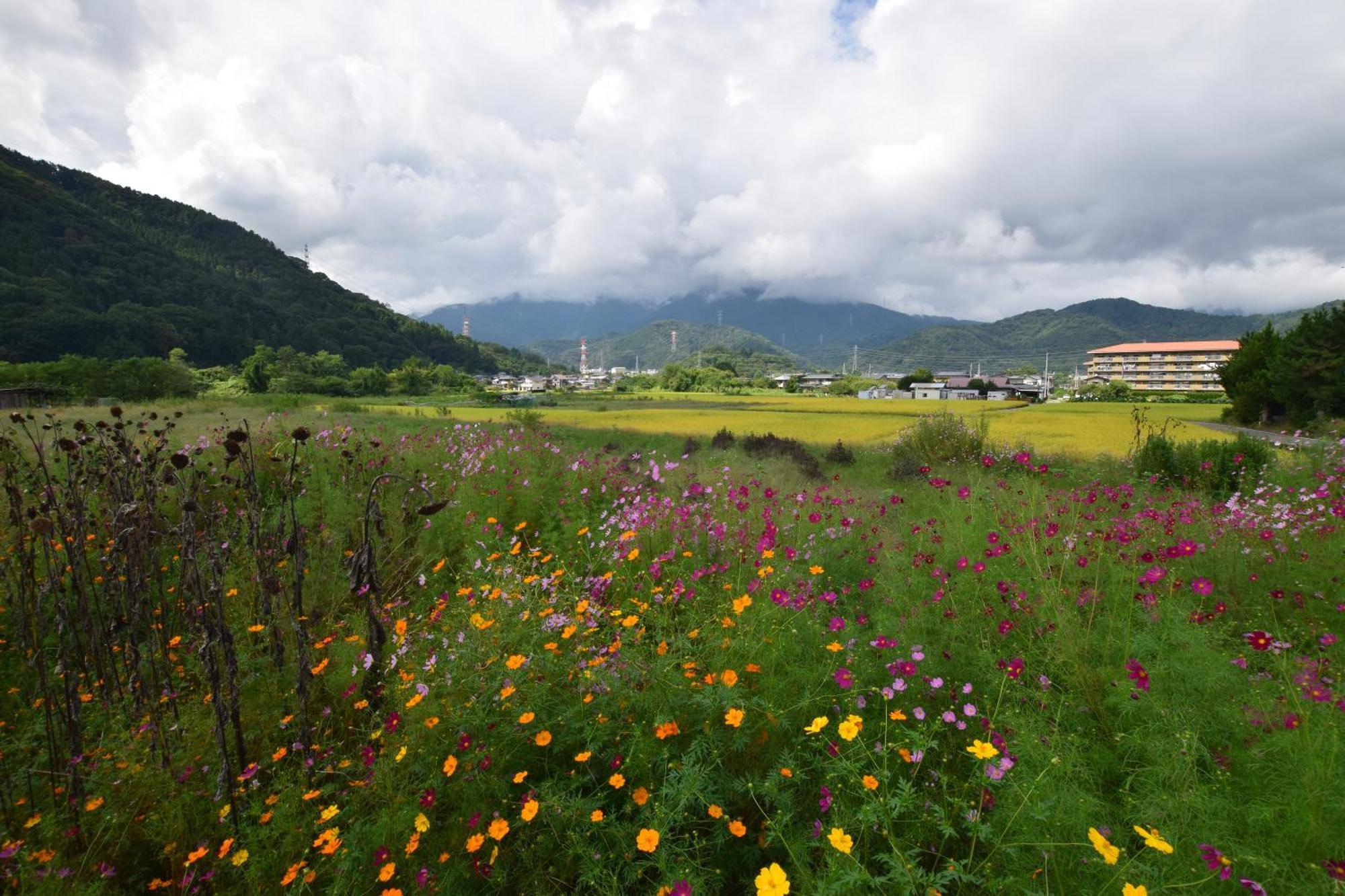 הוילה Gate Yamanashi Tsuru מראה חיצוני תמונה